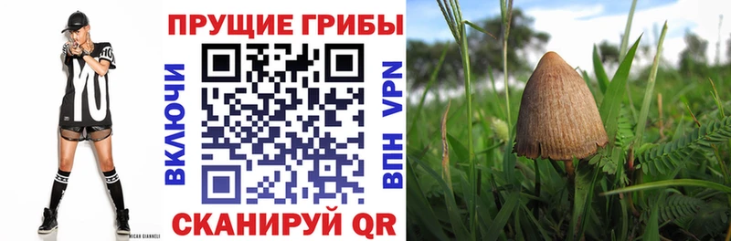 Галлюциногенные грибы MAGIC MUSHROOMS mega как войти Среднеуральск
