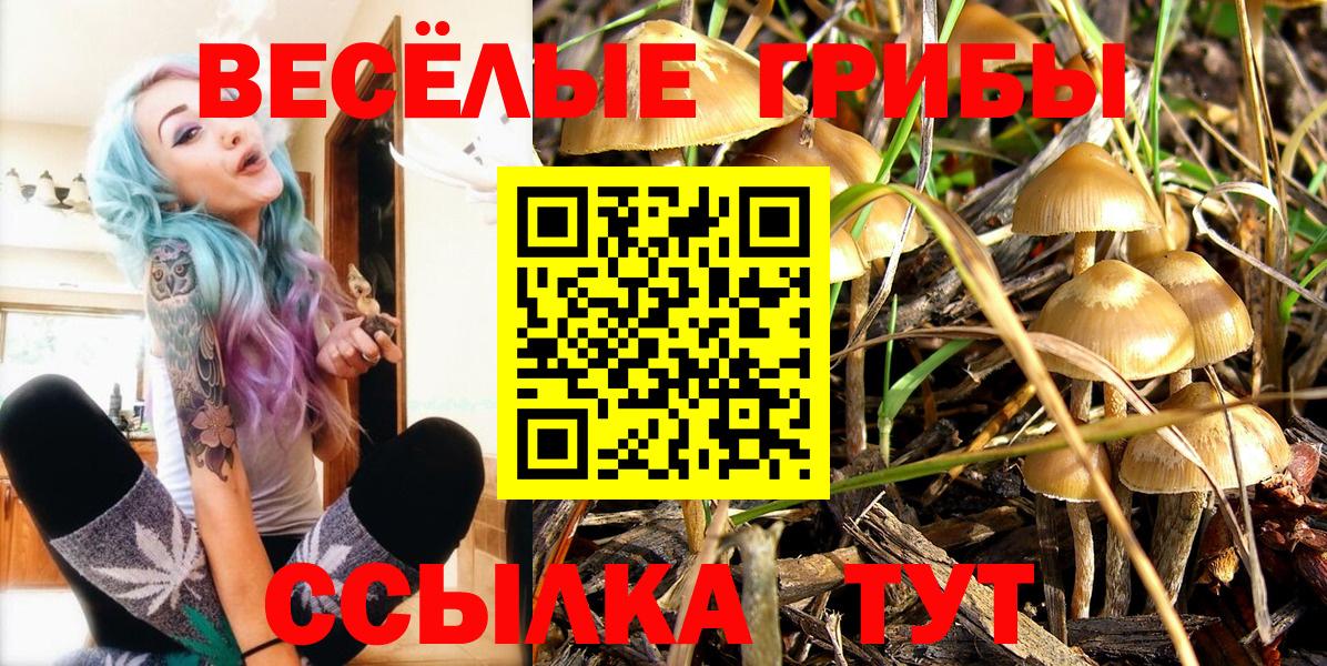 Псилоцибиновые грибы GOLDEN TEACHER Среднеуральск